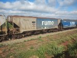 RUMO HPT-033484-7